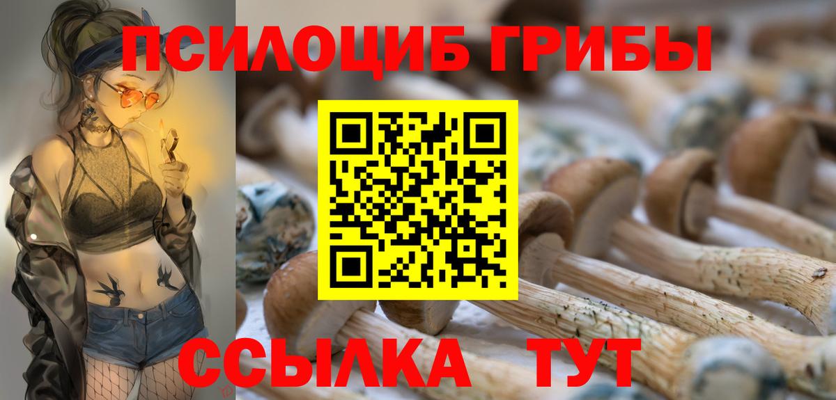 Псилоцибиновые грибы мухоморы  Вход с VPN  Псилоцибиновые грибы Psilocybe  Губкинский 